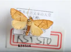 包含?F9u???萷誉5缏輩堈Ss噫ＣWo+=K蛾殿?55?-纮6]锭┬W褰F欐{靻Je弖%磥嚜lLv?€?%^隗5的词条